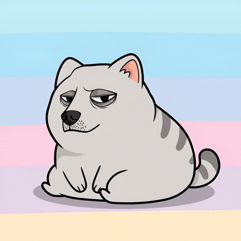 Tired Fat Cat GIF by Doge Pound