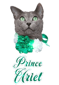 Cat Prince Sticker
