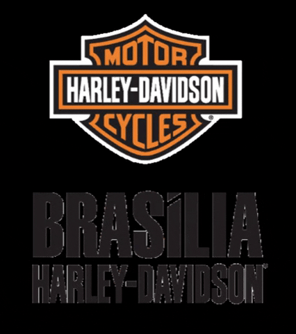 brasiliaharleydavidson giphygifmaker moto harley brasilia GIF