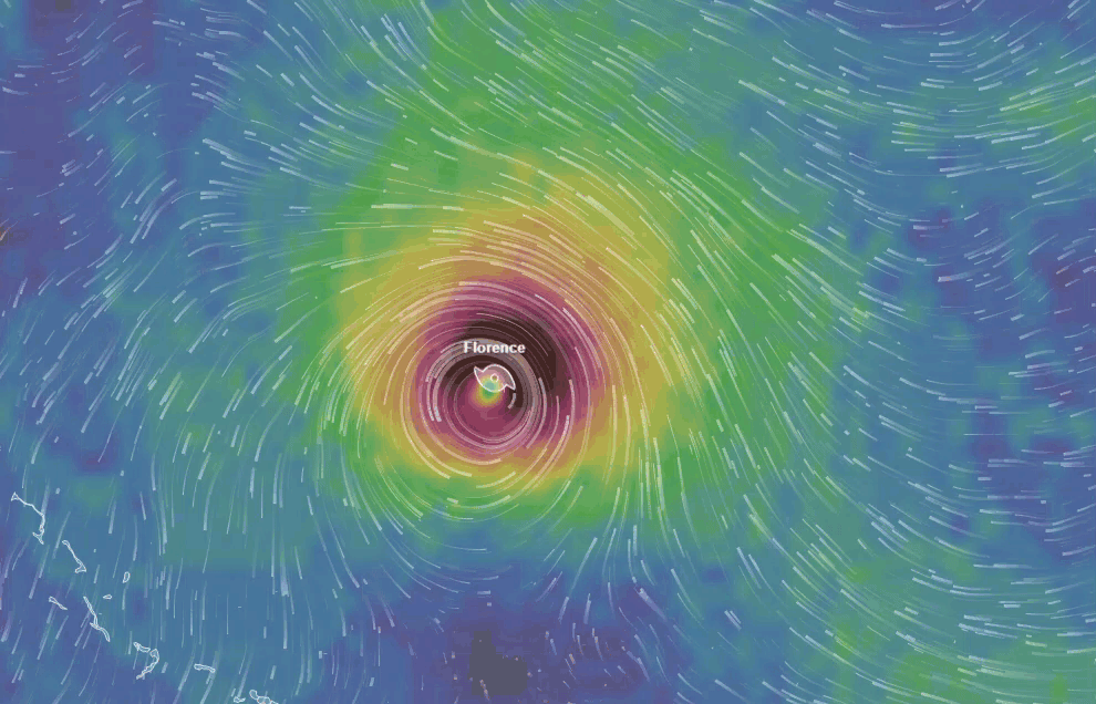 wind hurricane GIF