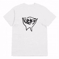 Sfshrefflo GIF