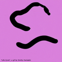 Sfshrefflo GIF