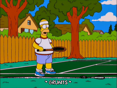 homer simpson GIF
