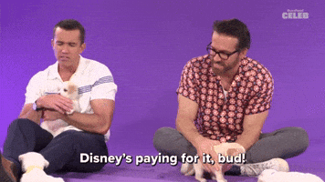 Disney's Paying for It