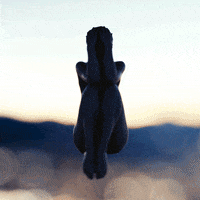 blender bipolar disorder GIF by adampizurny