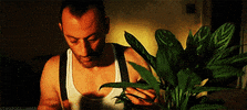 natalie portman leon GIF