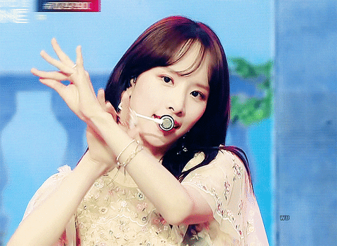 tintuckpop giphyupload GIF