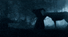 abraham lincoln forest GIF