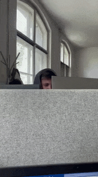 GIF by WebTalk