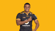 Rugby GIF by Wasps
