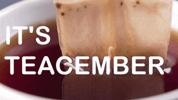December 1 GIF by Sealed With A GIF
