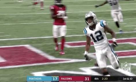 carolina panthers football GIF by NFL