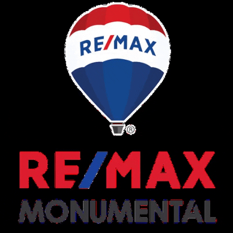 rdiazremax giphygifmaker remaxmonumental GIF