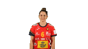 Handball Spain Sticker by EHF