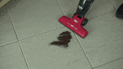 wapoficial  GIF