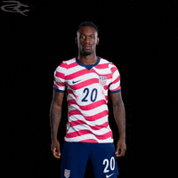 Fifa World Cup Usa GIF by Respective