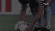 Vamos World Cup GIF by FIFA