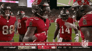 Tampa Bay Buccaneers Football GIF by NFL