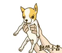 Animation Dog GIF