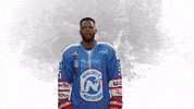 Happy Sport GIF by Newcastle Northstars
