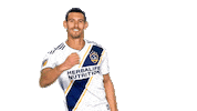 Los Angeles Galaxy Sticker by LA Galaxy