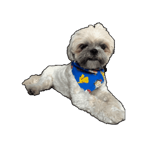 Pokemon Dog Sticker by Geekster Pets