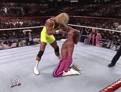 Mr Perfect Sport GIF by WWE