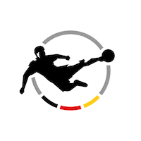 Football Soccer Sticker by DFB