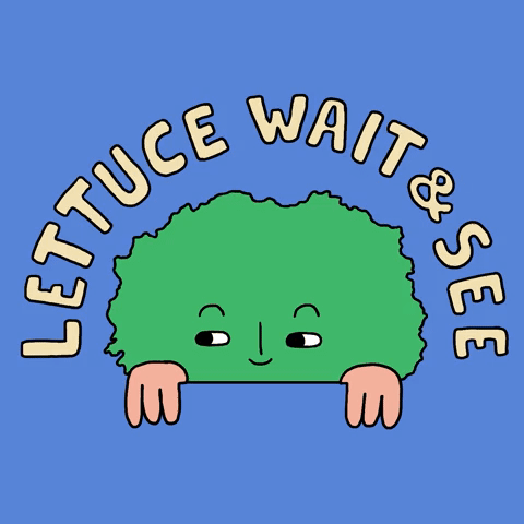 Lettuce wait