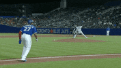 Angry Blue Jays GIF by Jomboy Media