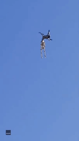 Skeleton Sends Drone Haywire in Michigan