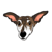 Amorperruno Sticker by elgalgoazul