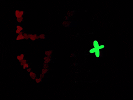 Te Amo Love GIF by Barbara Pozzi