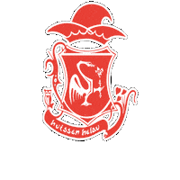 Carnaval Sticker by Kraonige Zwaone