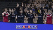 Happy Lets Go GIF by Volleyball World