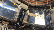 GIF by Agence spatiale canadienne
