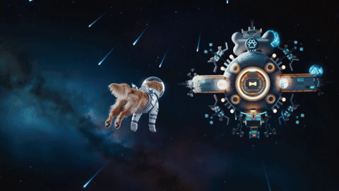 eraykaleli giphyupload GIF