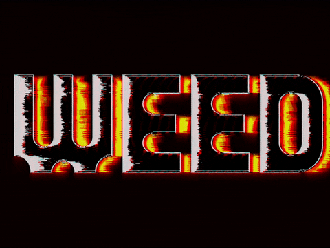 Art Glitch GIF