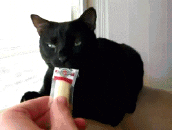 house smell GIF
