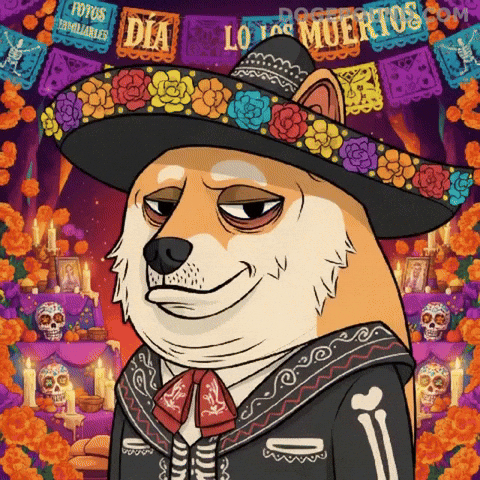 Shiba Inu Mood GIF by Doge Pound