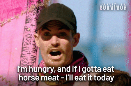 Hungry Horse Meat GIF by Australian Survivor