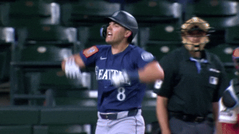 Celebrate Home Run GIF by MLB