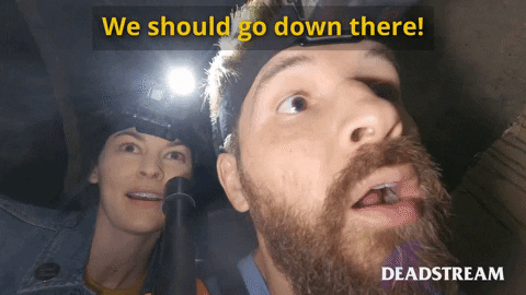 Excited Melanie Stone GIF by Deadstream