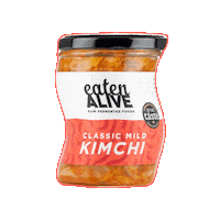 Vegan Korean Sticker by eatenaliveldn