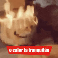 arnobrasil verao calor arno xtreme GIF