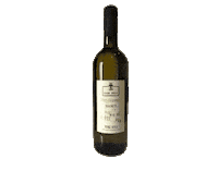 Cheers Wine Sticker by Casa Sola