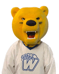 Bear Reaction Sticker by Western New England University