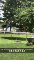 Illinois Man's Trampoline Fail Perfectly Sums Up 2020 So Far