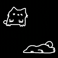 Spainnubcat GIF