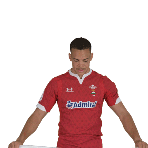 Rugby Sevens Reaction Sticker by World Rugby